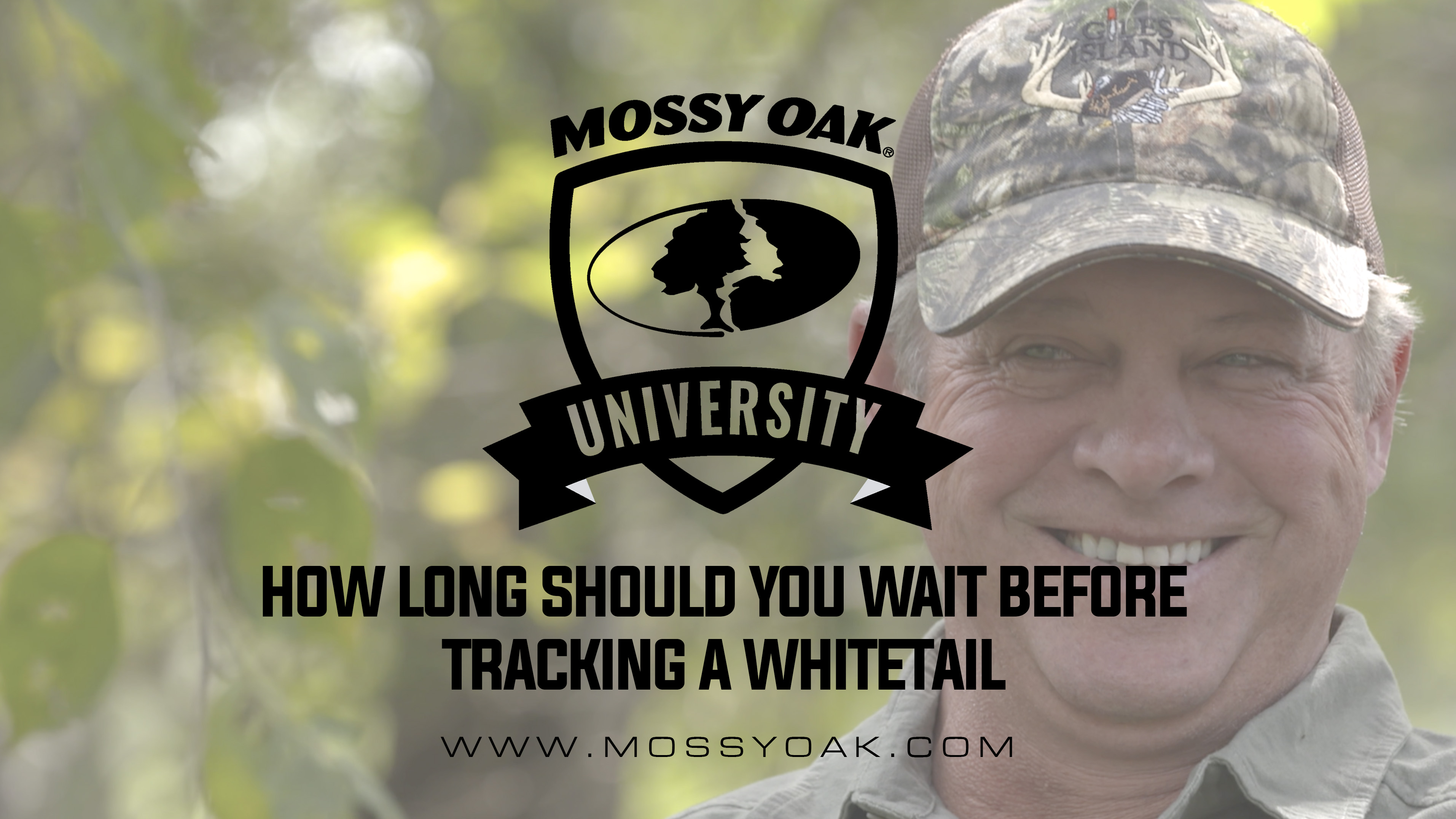 How Long Should You Wait Before Tracking Any Deer
