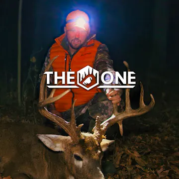 Chasing Giants pt1 • The One