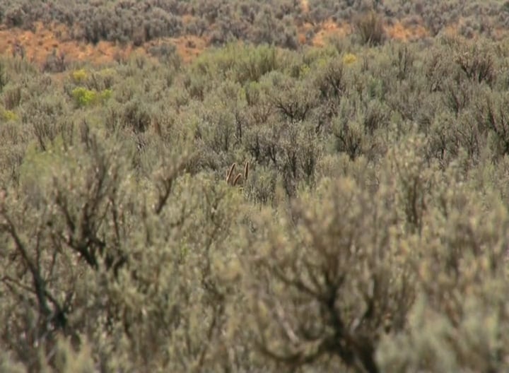 The Last Minute (Before You Shoot) • High Racks and Higher Anxiety