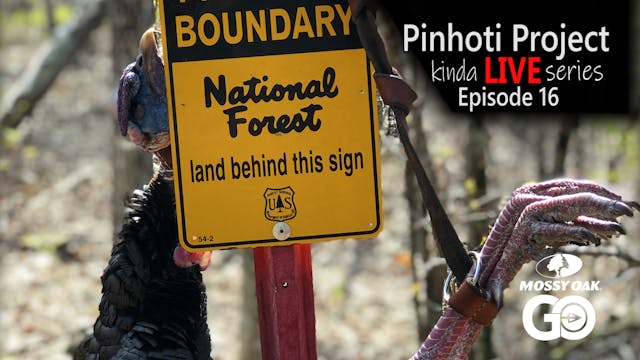 Kinda Live • Episode 16 • Pinhoti Pro...