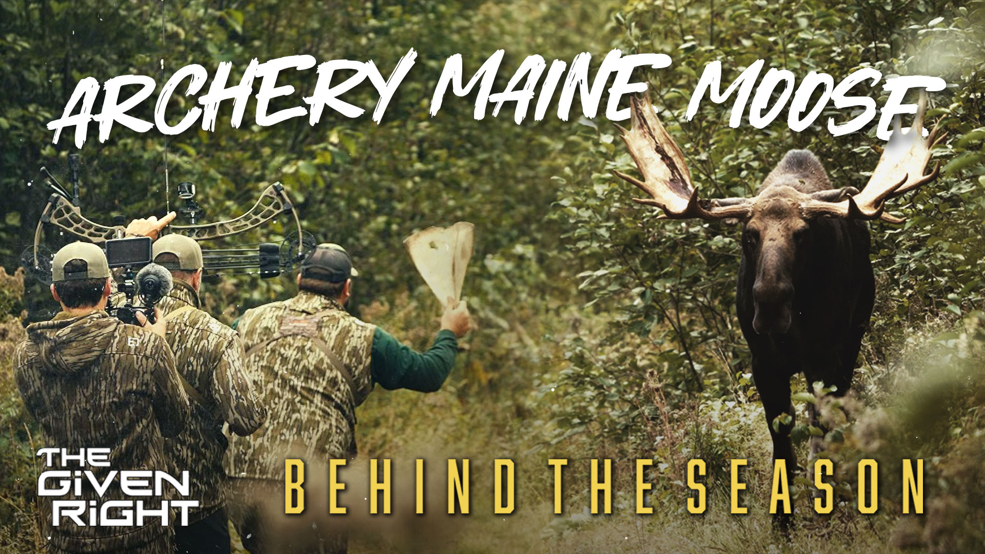 56" Bull Called to 12 Yards • Archery Maine Moose • Behind the Season