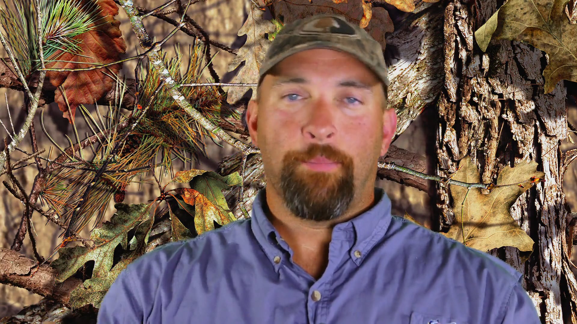 Home to Roost, Part 2 • Rios in Kansas