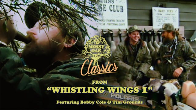 From Whistling Wings 1 w/ Tim Grounds...