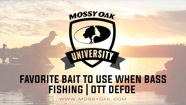 Favorite Bait to Use When Bass Fishing • Ott DeFoe