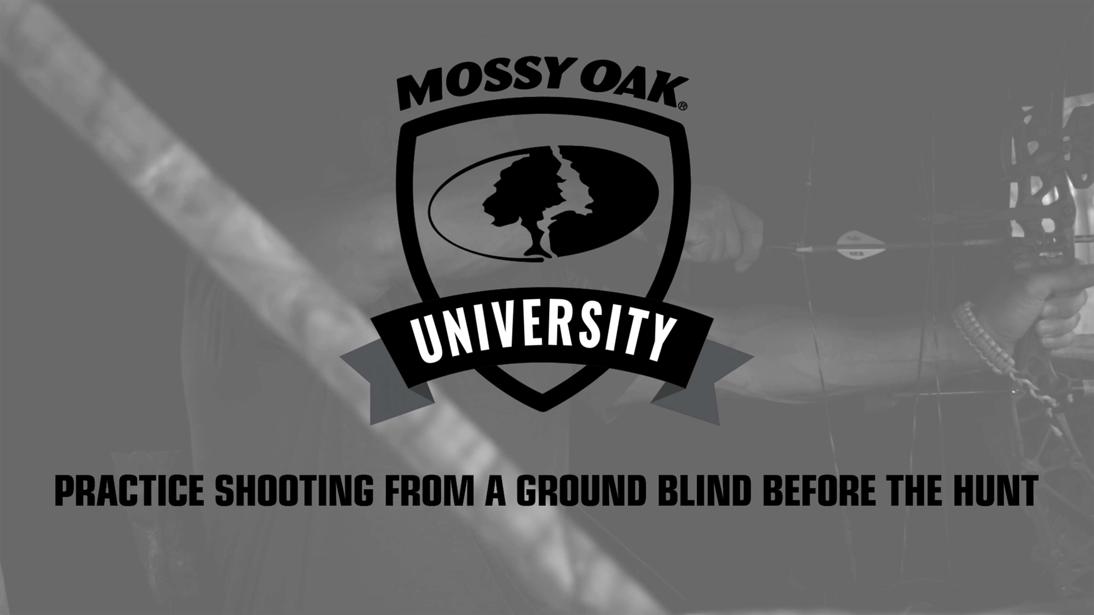 Bowhunting from Ground Blinds • 3 Practice Shooting