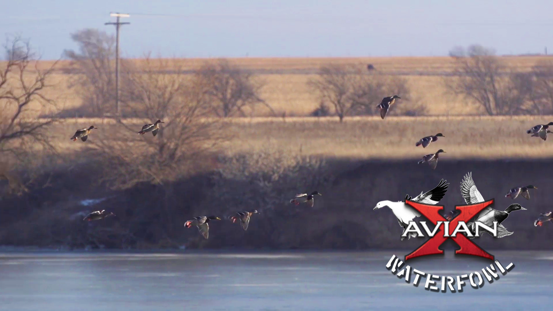 Big Water • Avian X Waterfowl