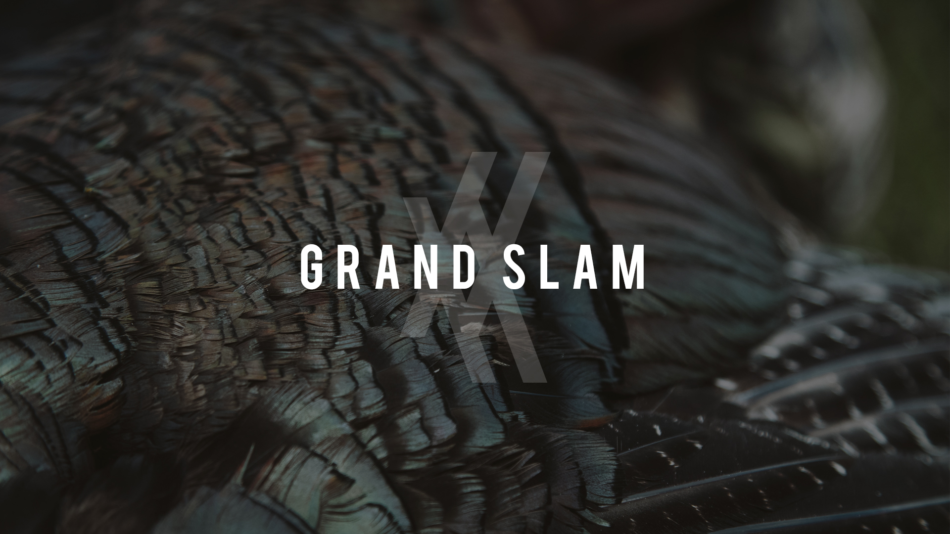Grand Slam • Undivided