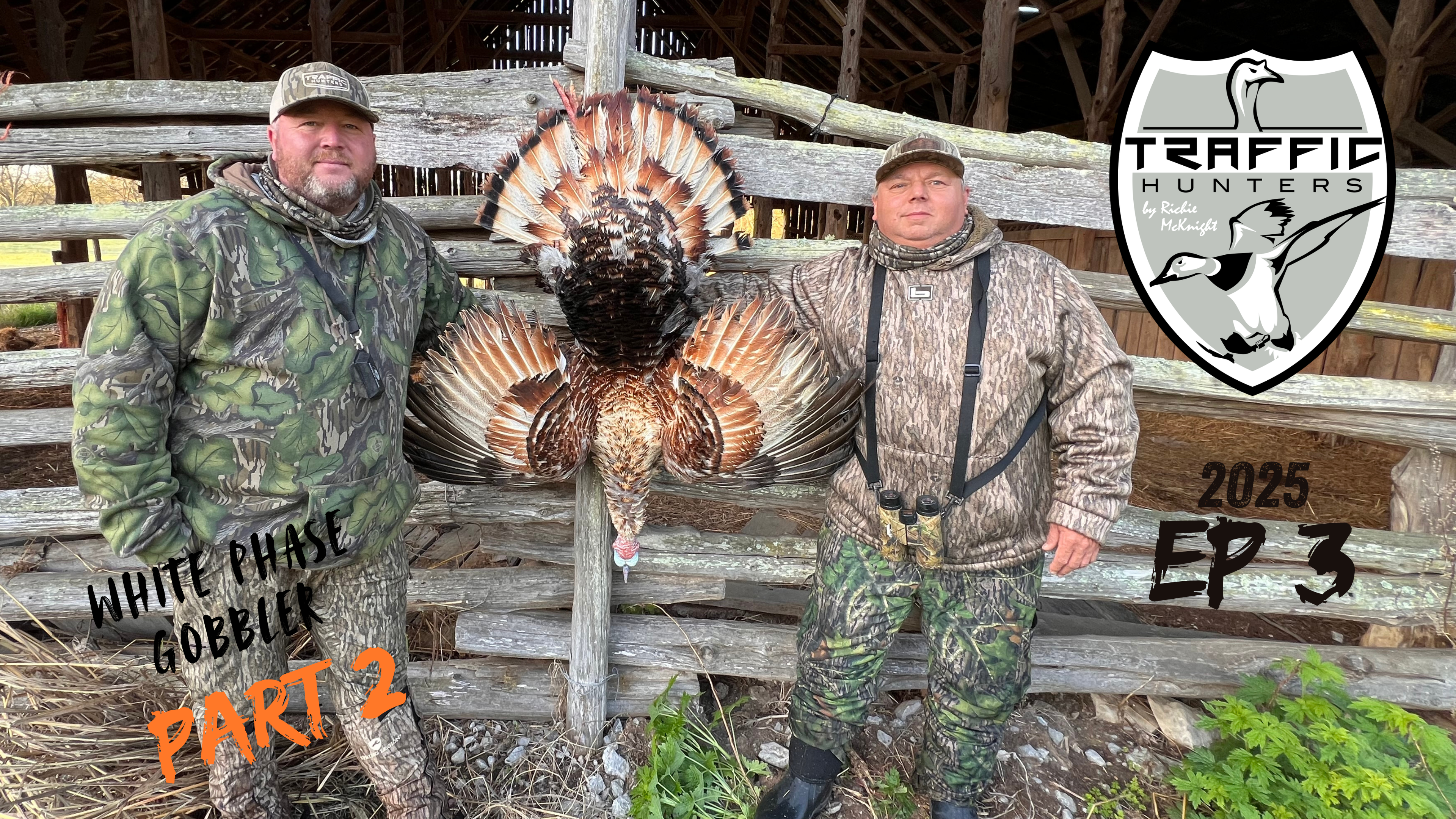 White Phase Gobbler Part 2 • Traffic Hunters