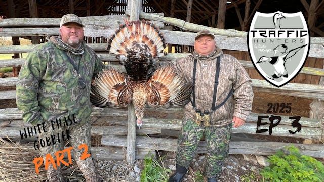 White Phase Gobbler Part 2 • Traffic ...