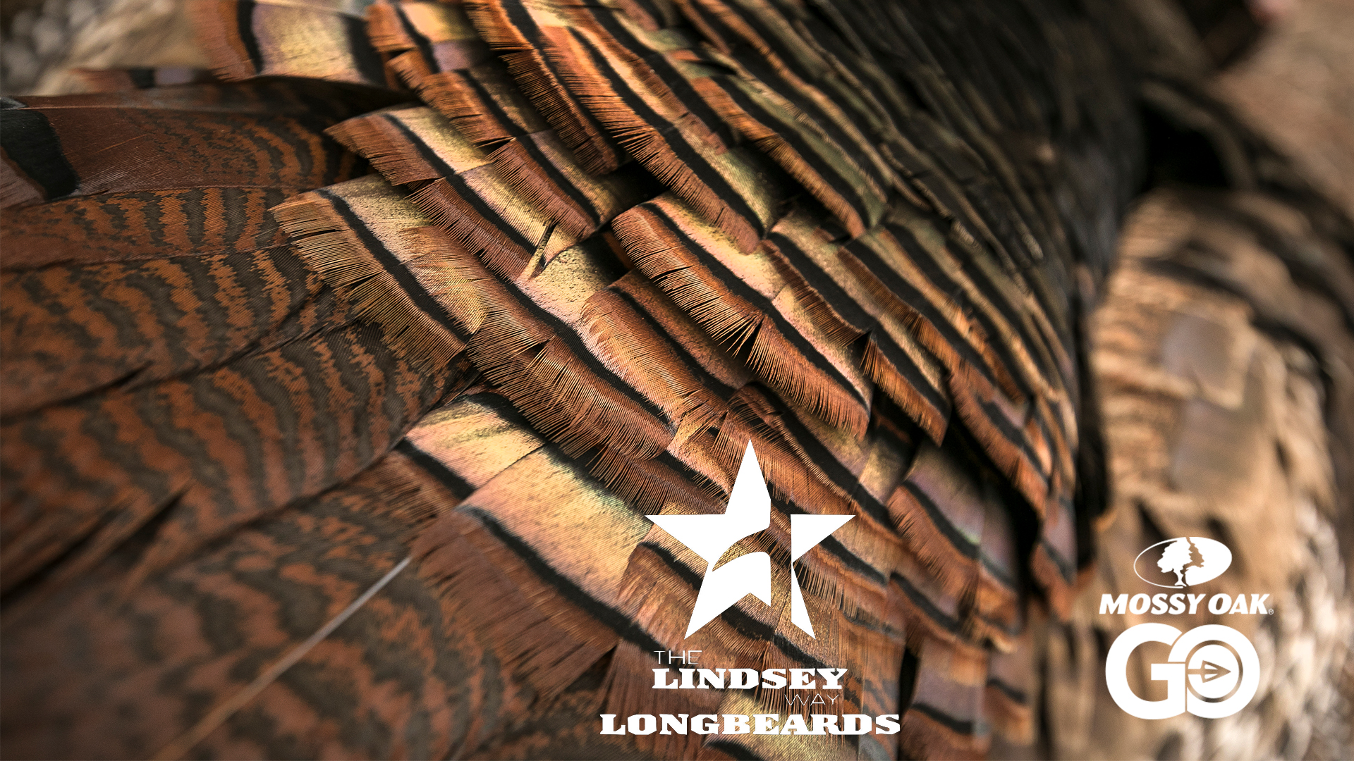 Big D • Lindsey Way Longbeards