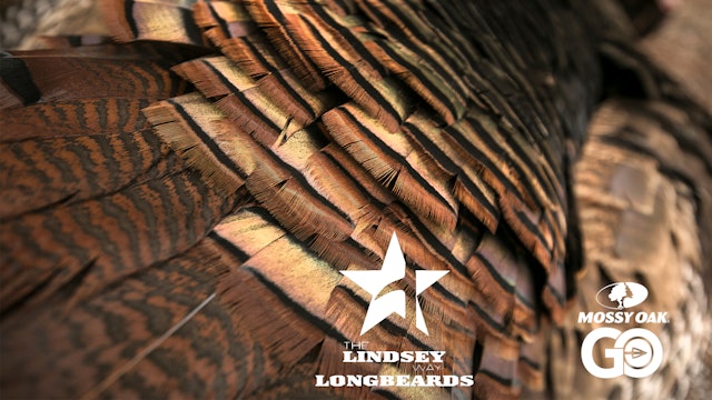 Big D • Lindsey Way Longbeards