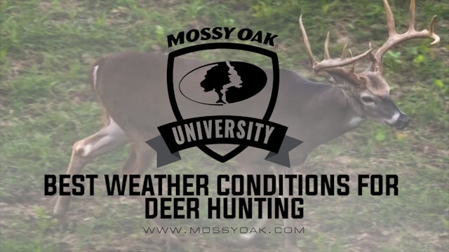 Best Weather Conditions For Late Season Whitetail Hunting
