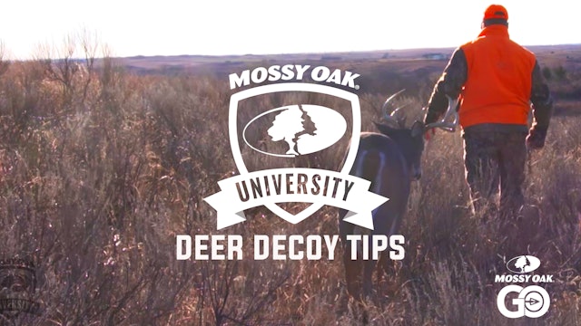 Deer Decoy Tips • Mossy Oak University