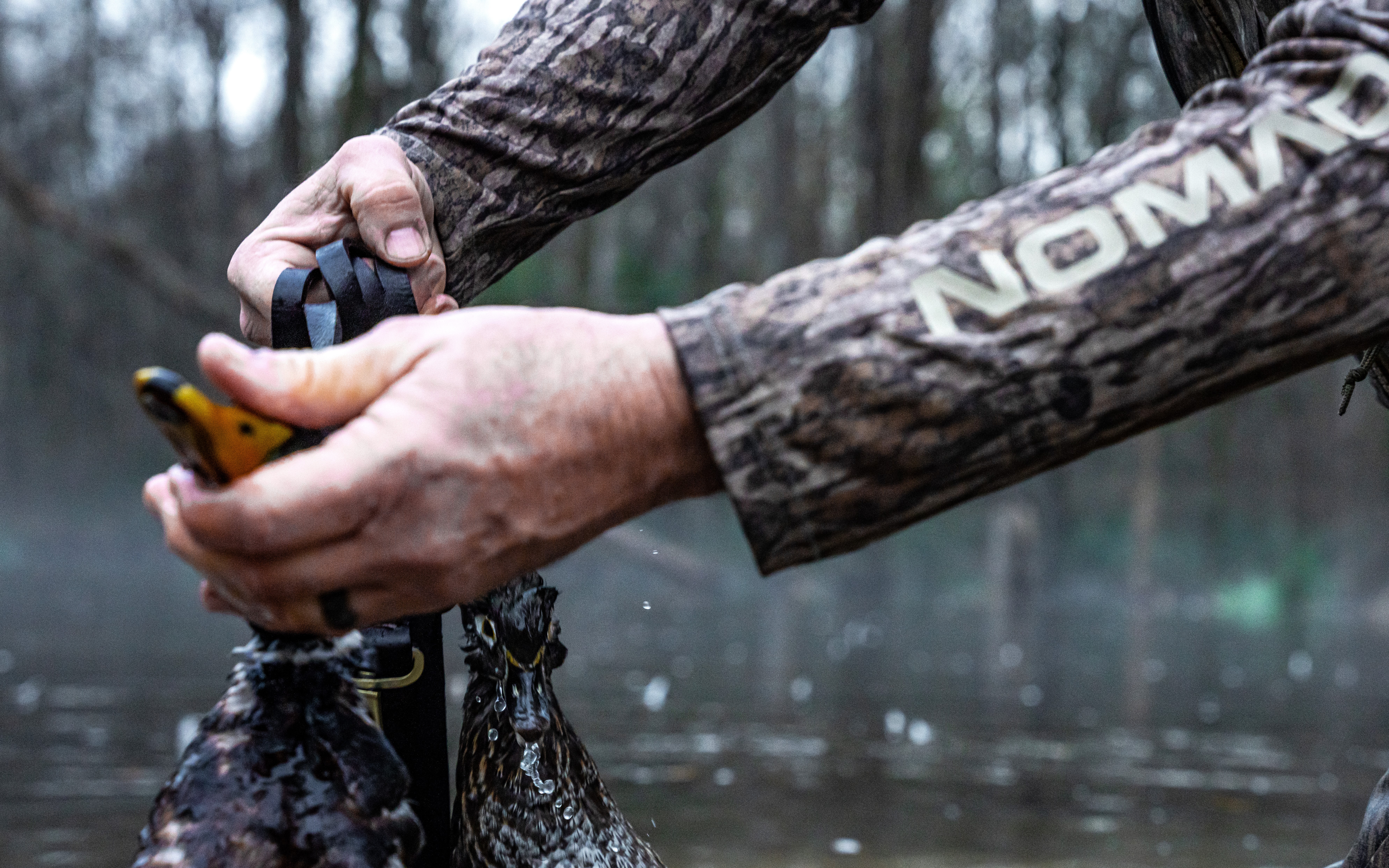 Lowcountry Waterfowl • Country Outdoors