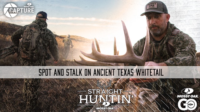 Spot and Stalk on ANCIENT Texas Whitetail • Straight Huntin'