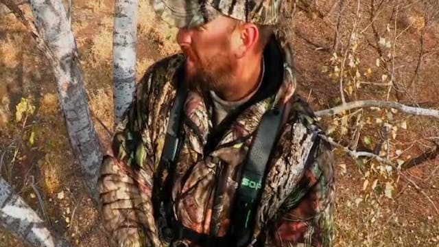 Sooner or Later • Oklahoma Bucks and ...