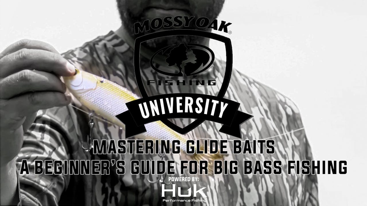 Mastering Glide Baits A Beginner's Guide for Big Bass Fishing