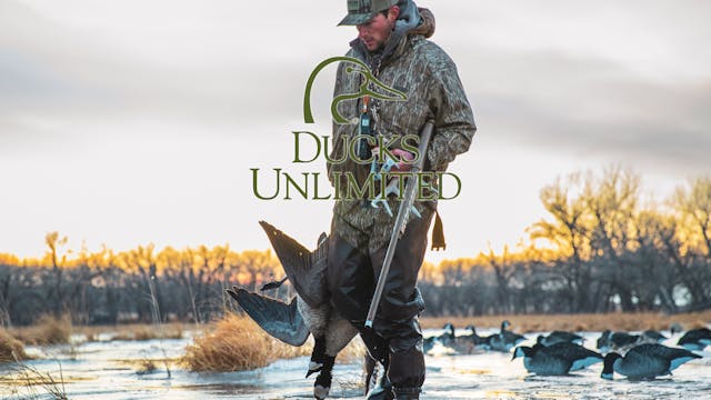 Arkansas Family Traditions • DU TV