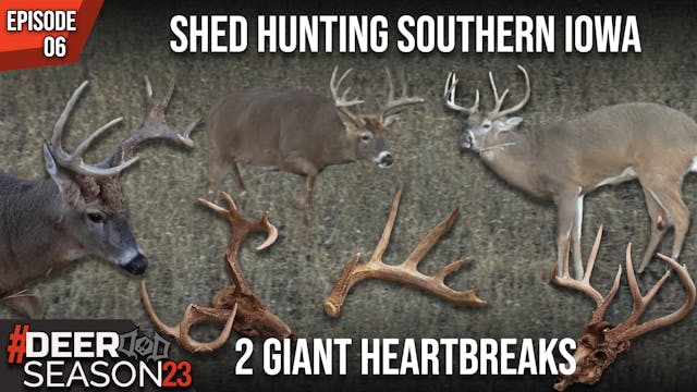 2 Unfortunate Heartbreaks While Shed ...