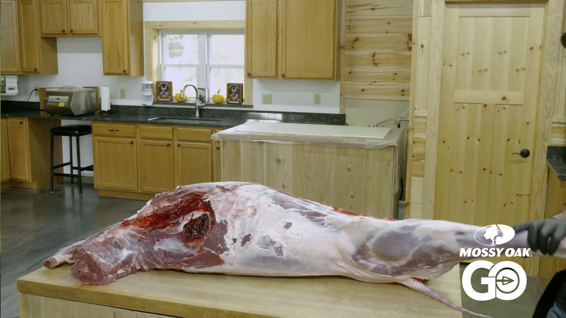 Field to Freezer Part 1 • Quartering Big Game