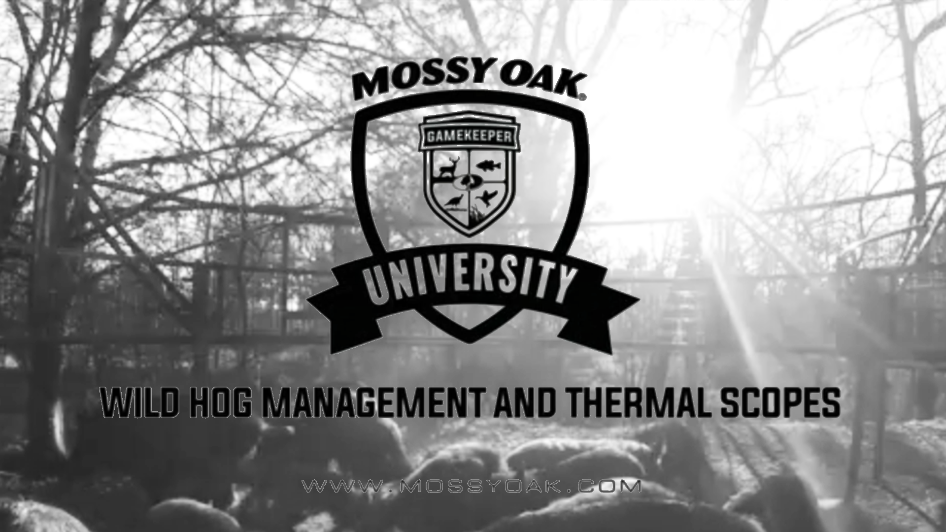 Wild Hog Management with Thermal Optics • Mossy Oak University