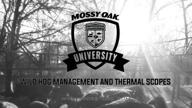 Wild Hog Management with Thermal Optics | Mossy Oak University