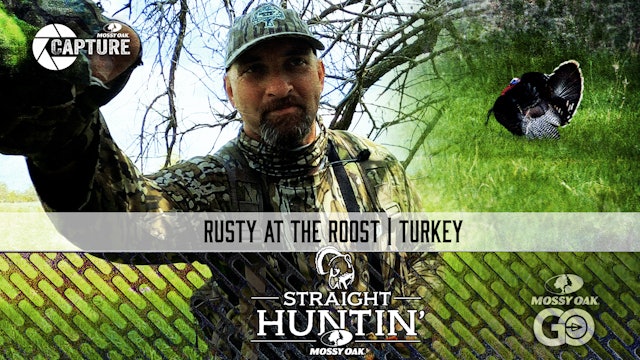 Rusty at the Roost • Rio Grande Hunting • Straight Huntin'