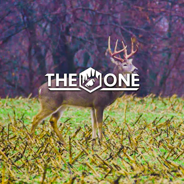 Savage • The One