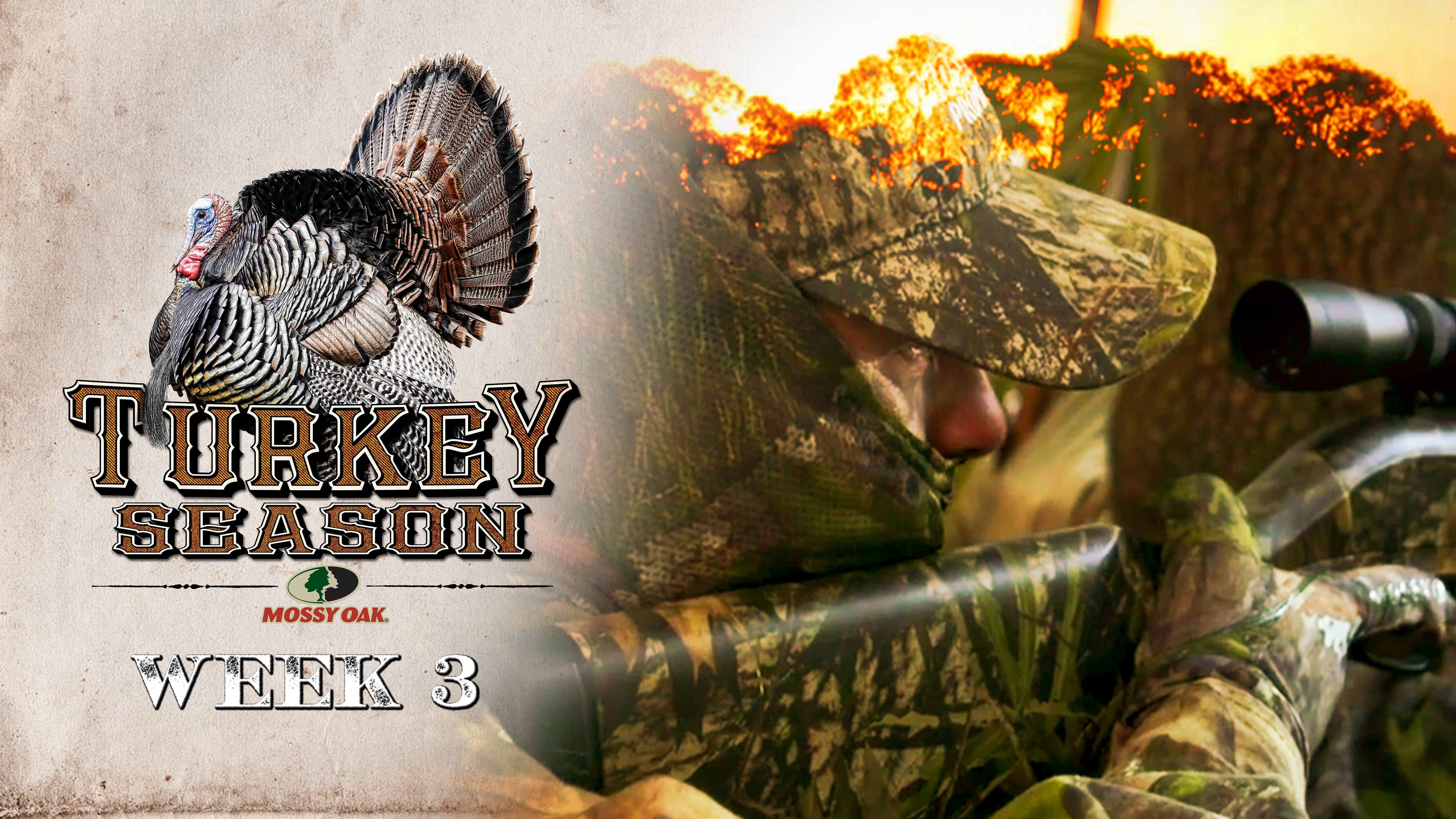 Live: 3.29.2021 Turkey Season Replay