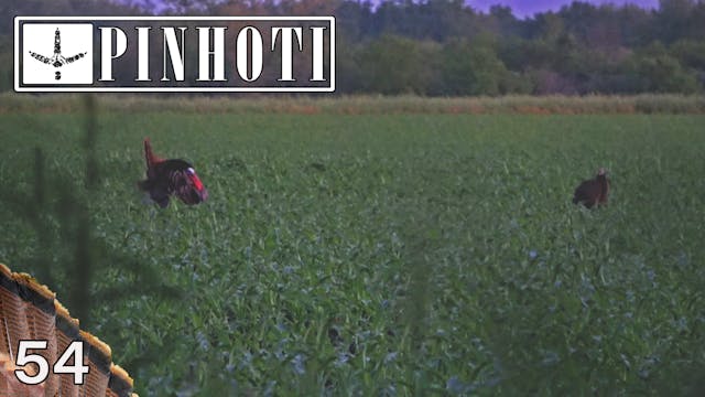 Pinhoti 2021 Ep 54 • Pinhoti Project