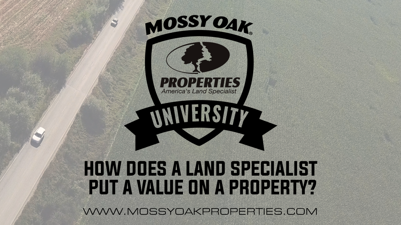 How Does A Land Specialist Put A Value On A Property?