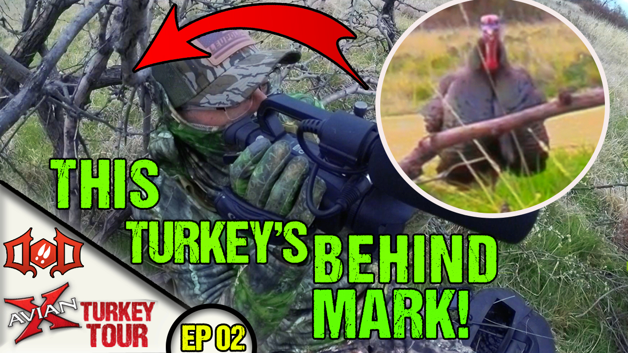 HUGE Gobbler at 2 Steps, BUT He's Behind us! • Avian X Turkey Tour