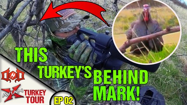 HUGE Gobbler at 2 Steps, BUT He's Beh...