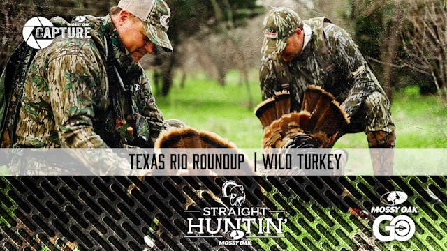 Texas Rio Roundup • Straight Huntin'