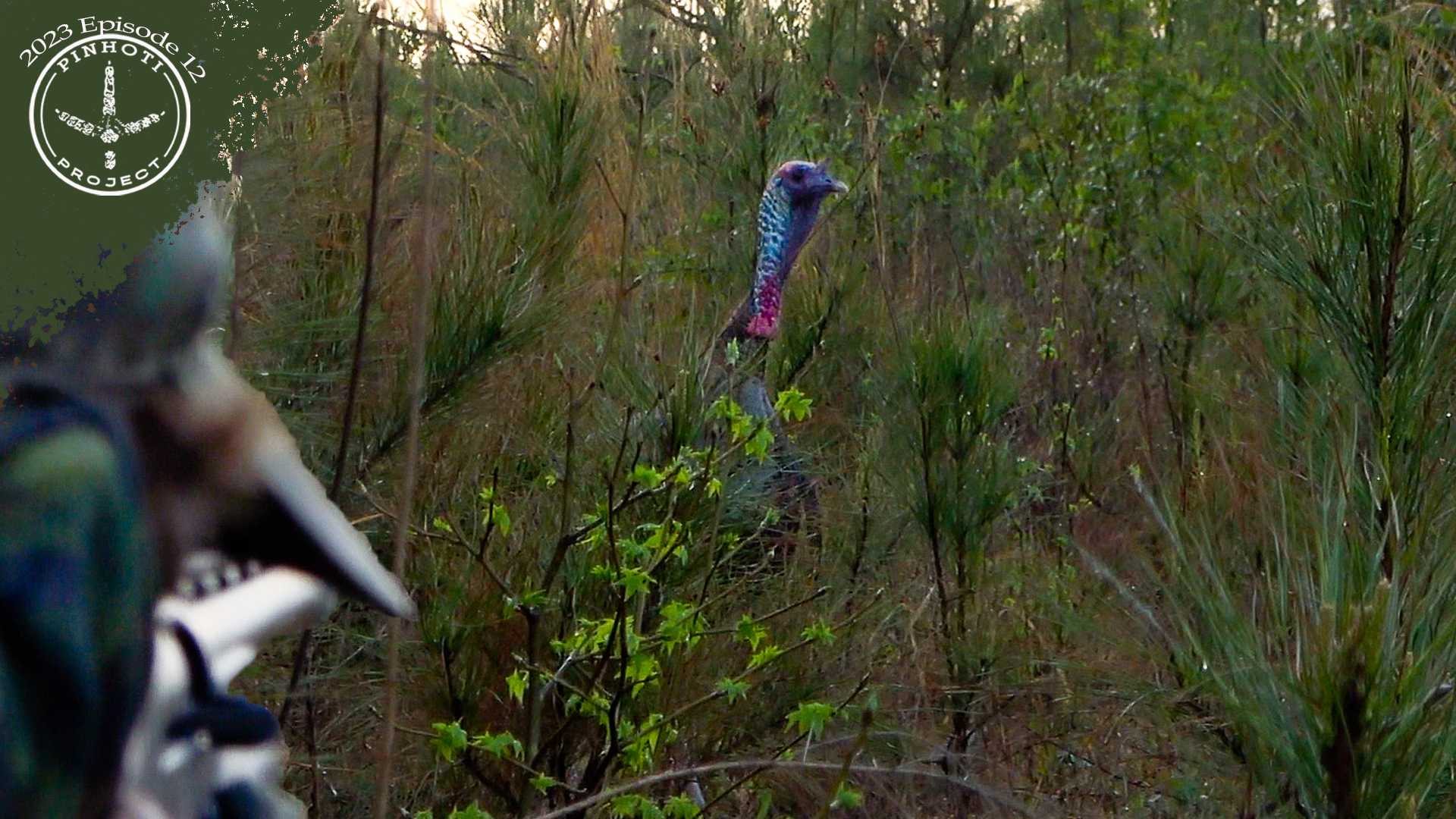 Pinhoti 2023 Ep 12 • Pinhoti Project