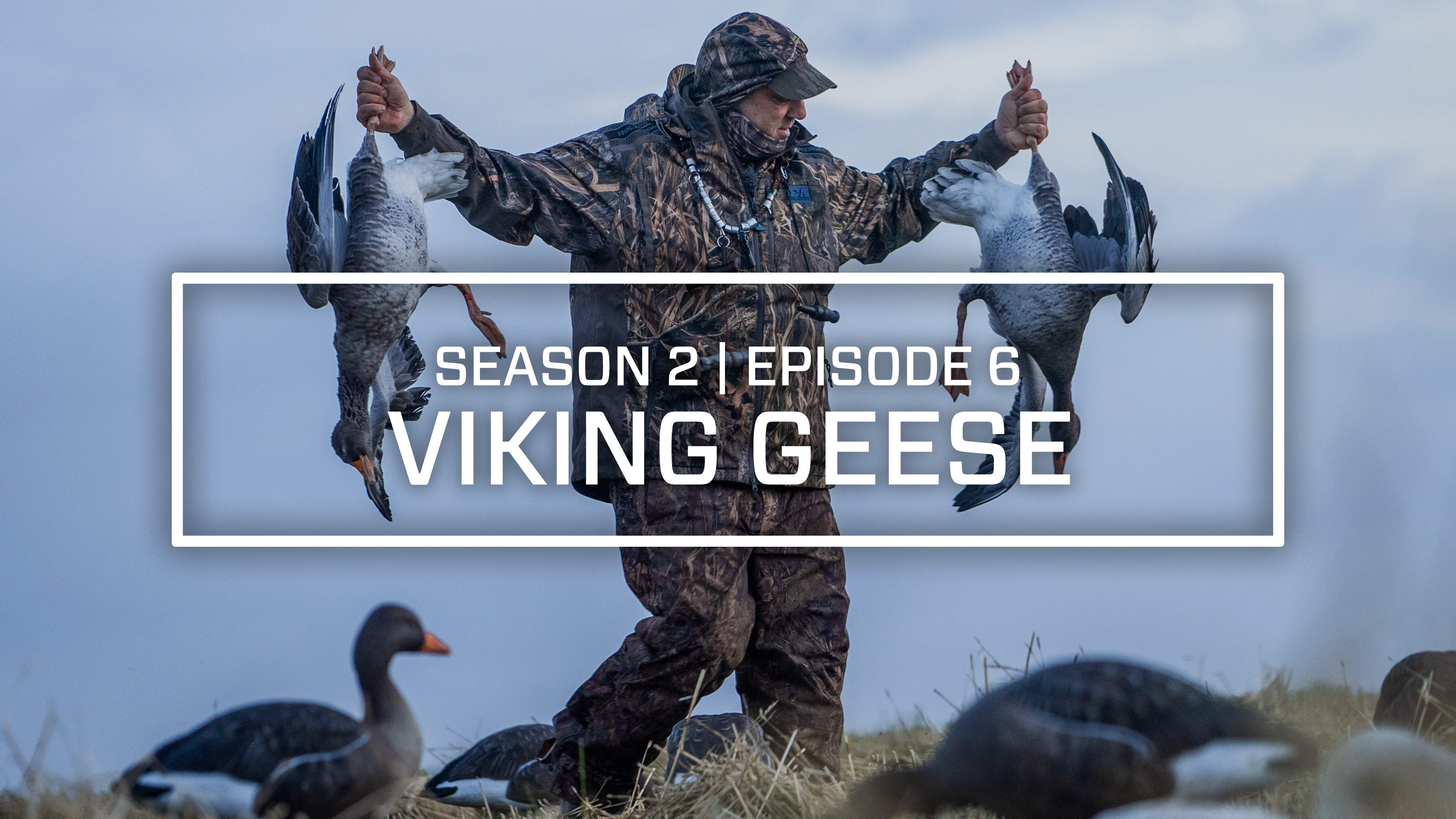 Last Pass Episode 6 • Vikinga Gaesir (Viking Geese)