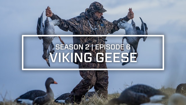 Last Pass Episode 6 • Vikinga Gaesir (Viking Geese)