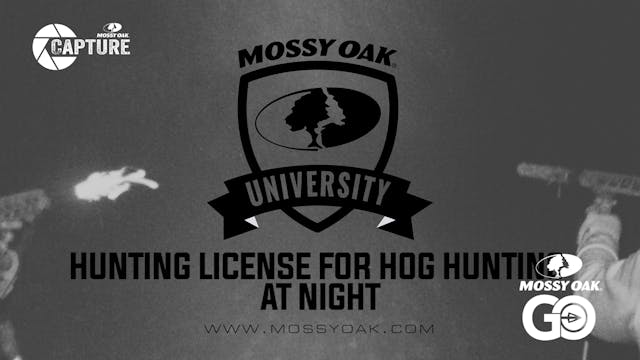 Do You Need A License To Hunt Hogs.Mp4