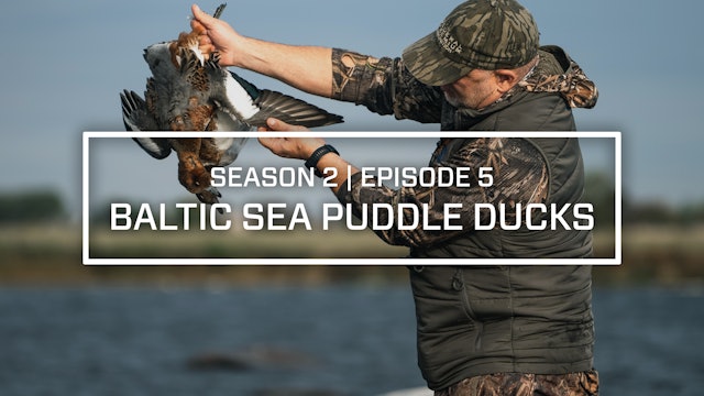 Last Pass Episode 5 • Baltic Sea Puddle Ducks