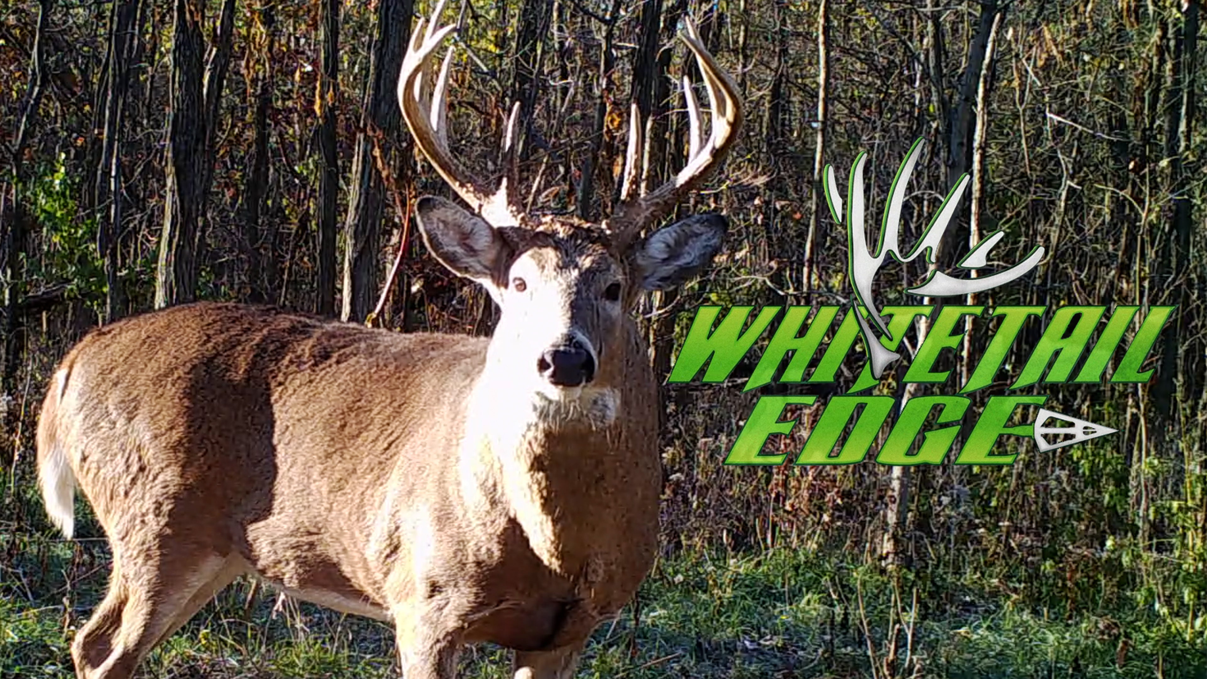 Making Moves • Whitetail Edge