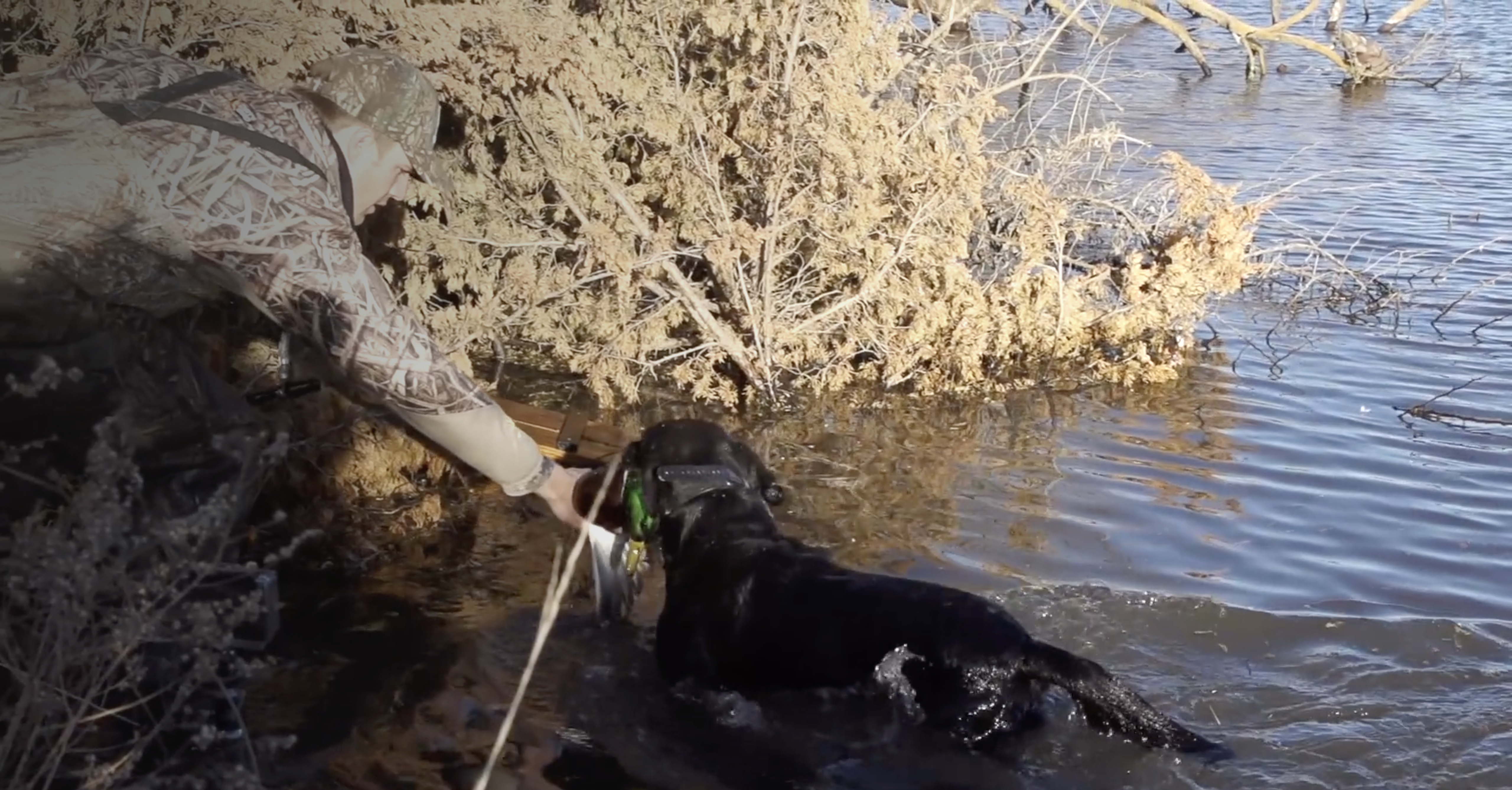 Kansas Mallards  • DU TV