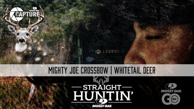 Mighty Joe Crossbow • Whitetail Deer ...