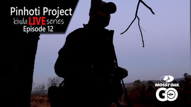 Kinda Live • Episode 12 • Pinhoti Pro...