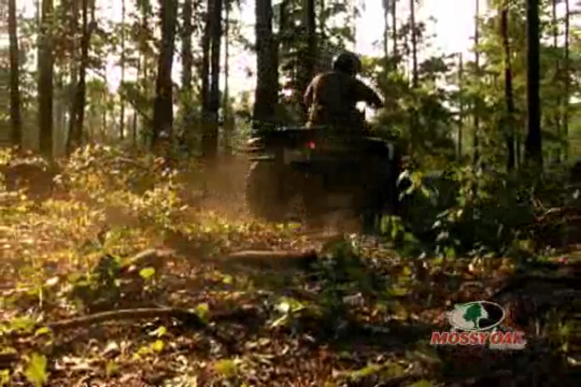 Slinging Arrows • Bow Hunting Whitetails in Alabama