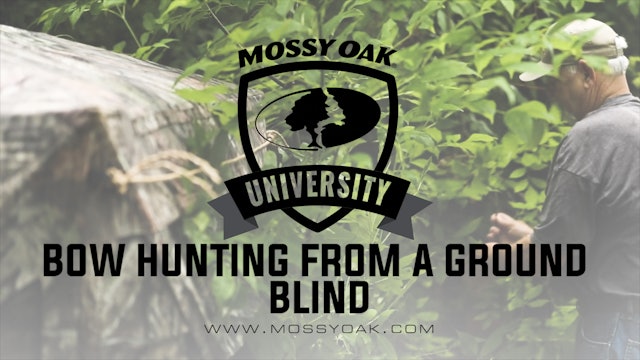Bow Hunting From a Ground Blind