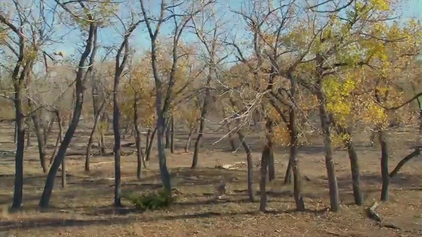 Close Calls • When Almost Isn’t Enough