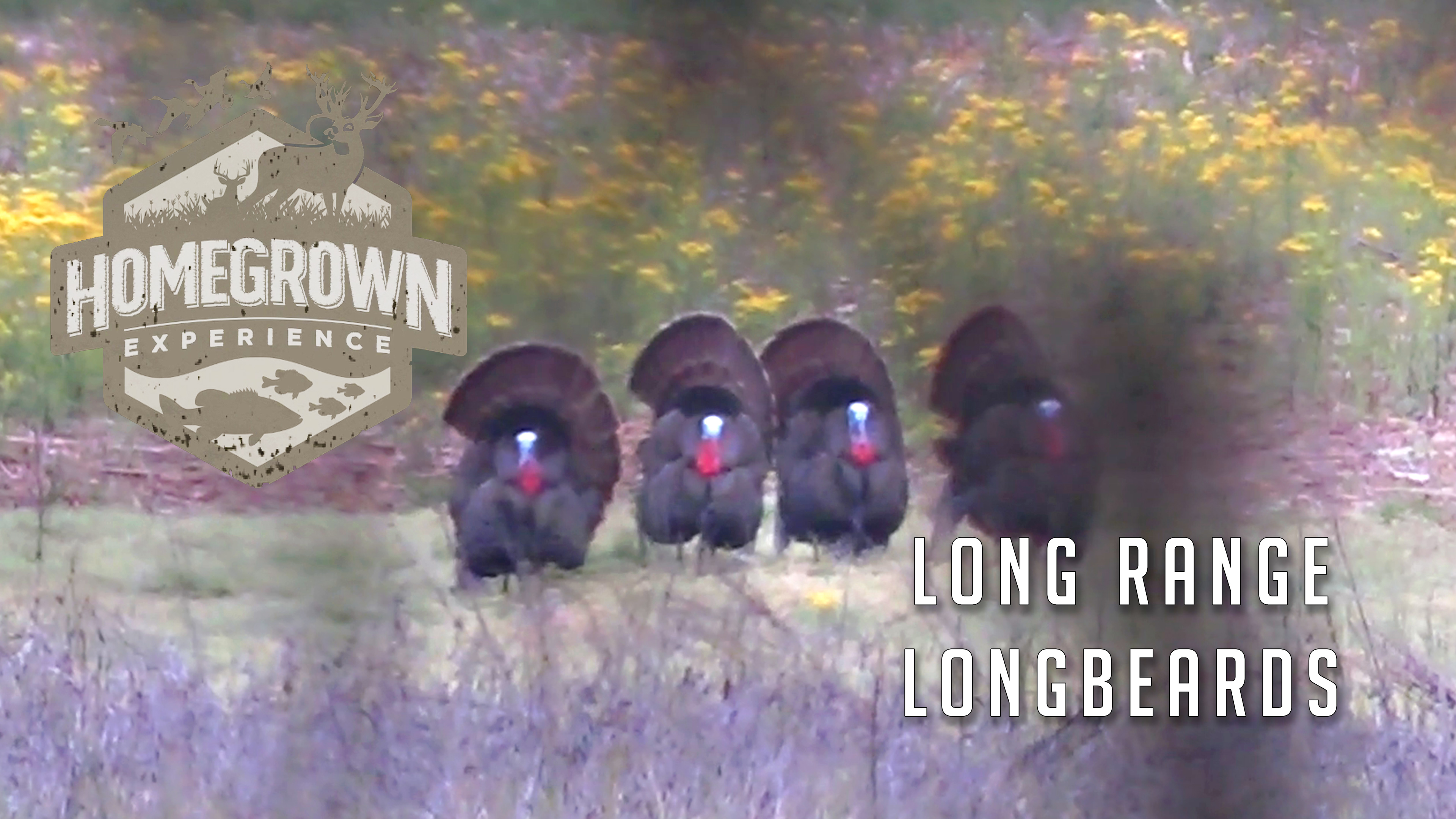Homegrown Experience • Long Range Long Beards