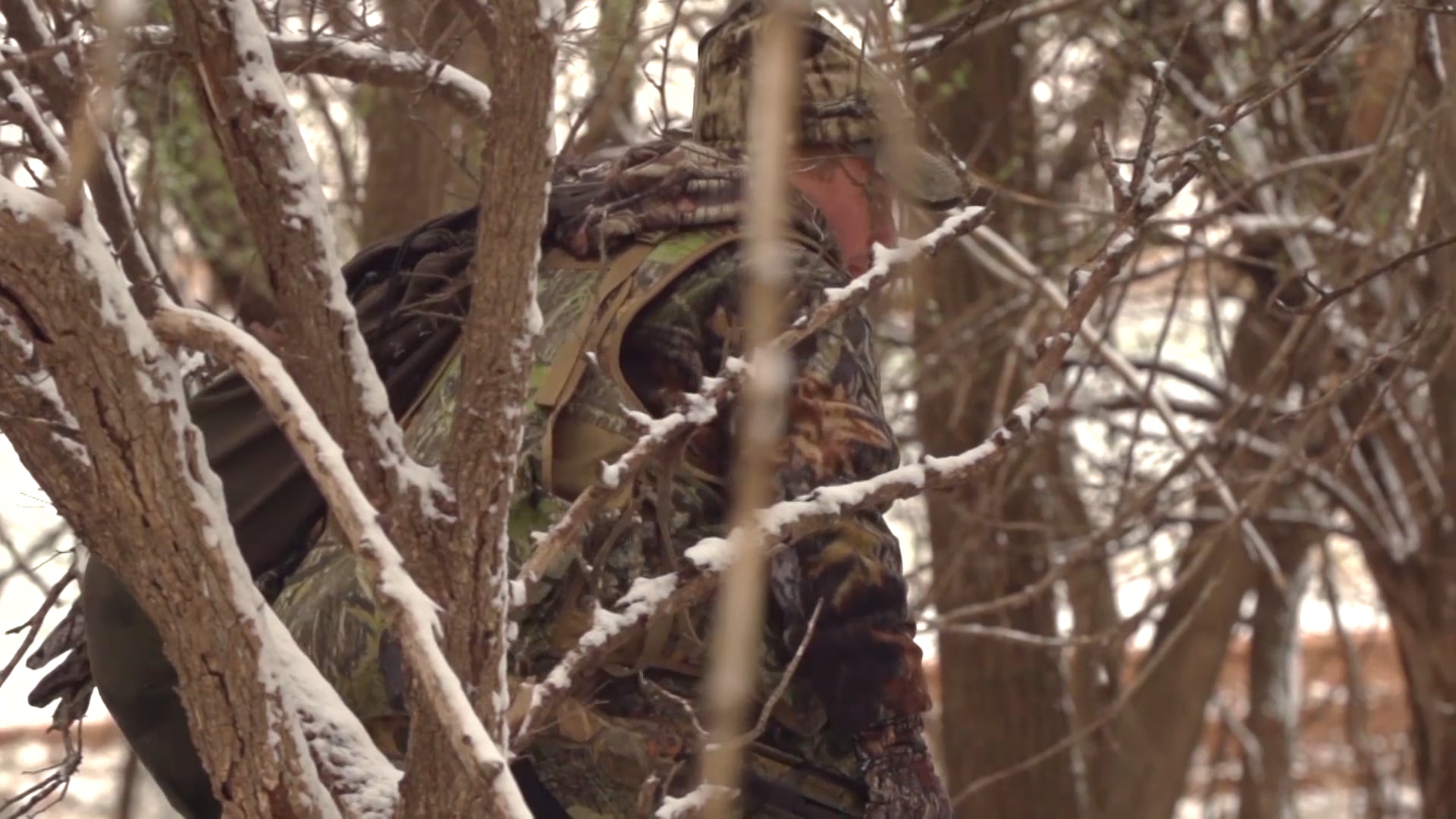 Oklahoma Rios • Avian X