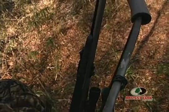 Hickory Hills Havoc • Hunting Whitetails in Southwest Mississippi