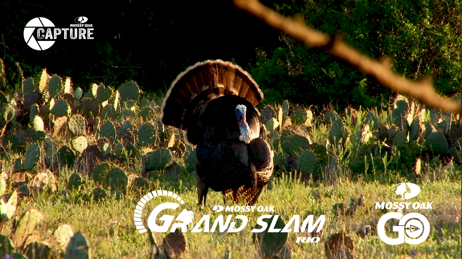 Grand Slam • Episode 8 • Rios